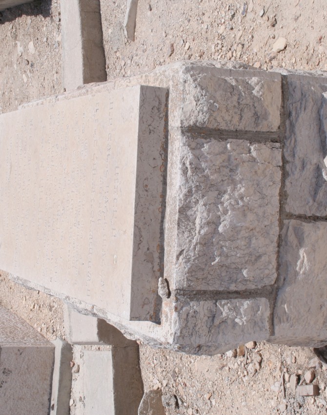 תמונת קבר בילא הורוויץ