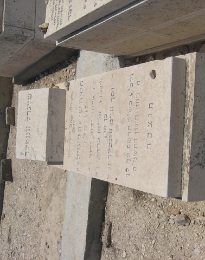 תמונת קבר חסיה שיינה פערל זוננפלד