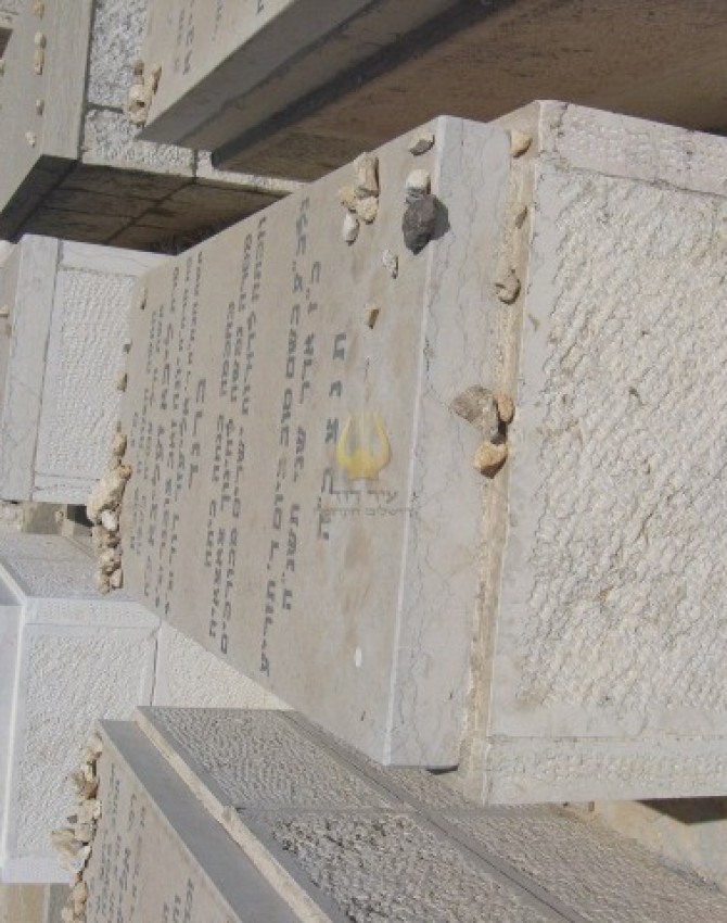 תמונת קבר ליבא זעליגא ברנד
