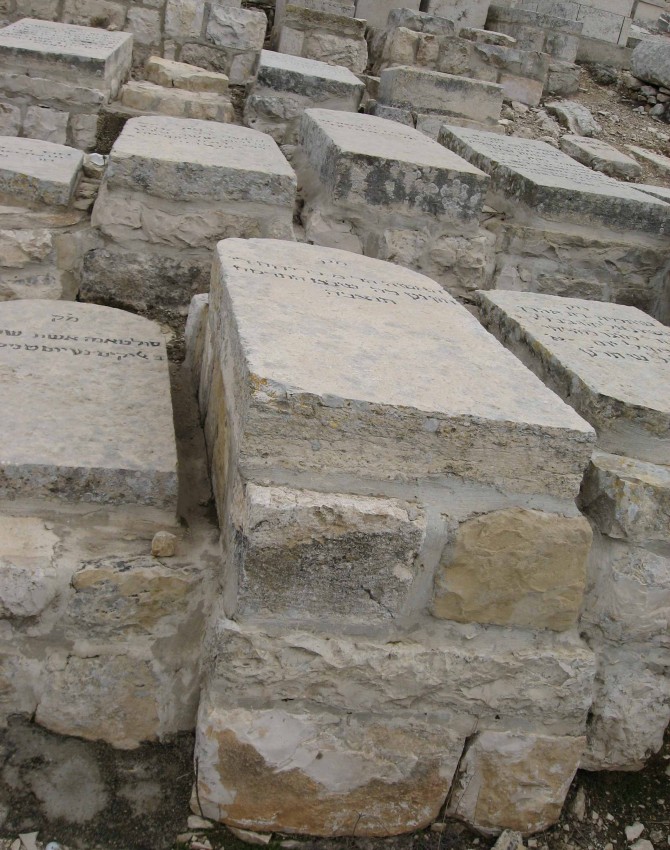 תמונת קבר פריחה חזן