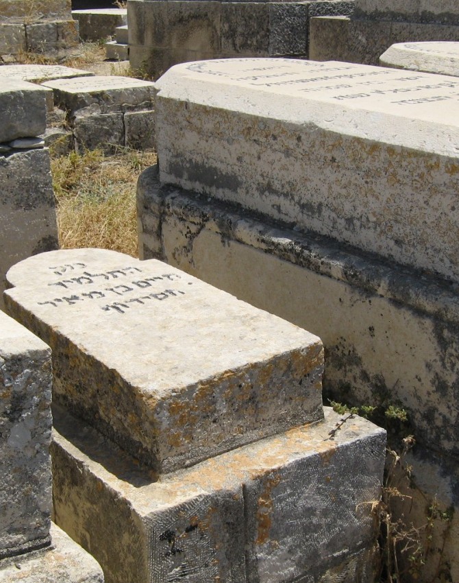 תמונת קבר חיים חסידוף