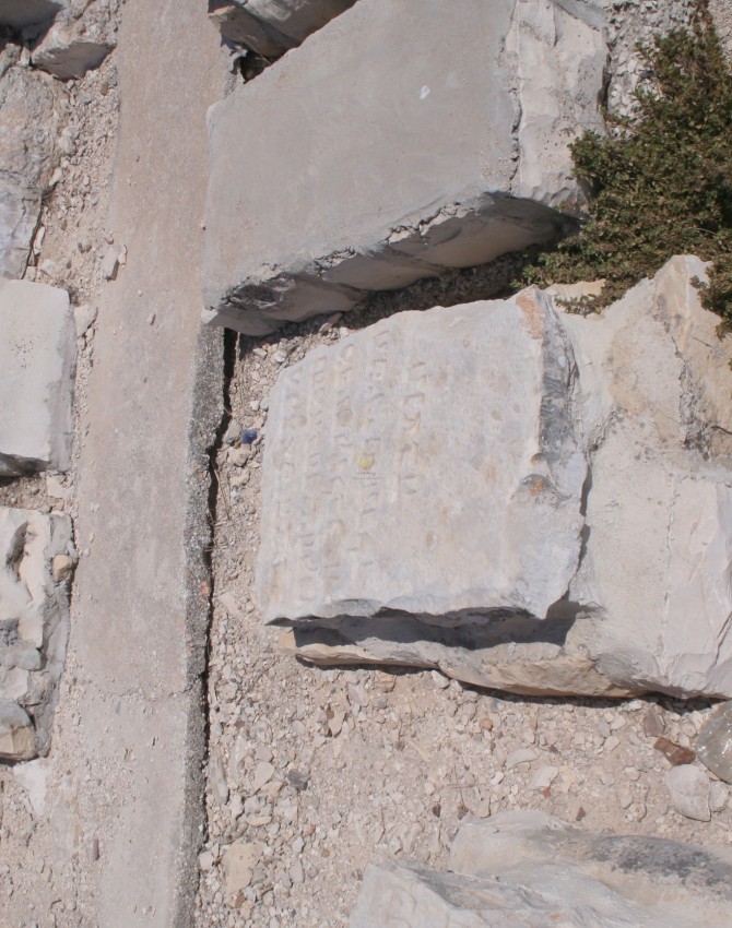 תמונת קבר צביה נחמה כץ Tzvia Nechama כץ