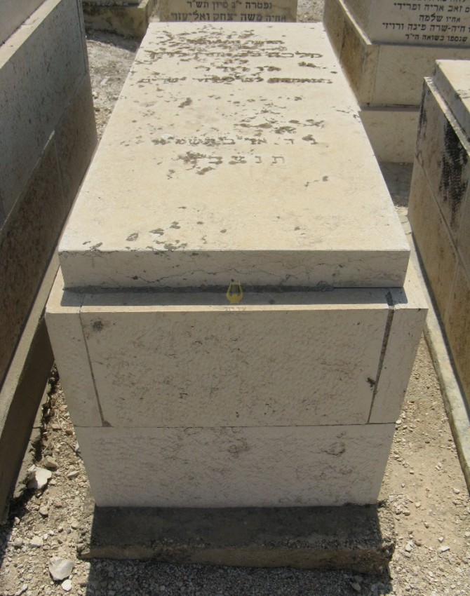 תמונת קבר מלכה לוין