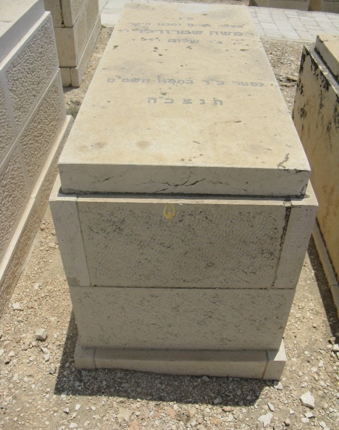 תמונת קבר משה שטרודלר