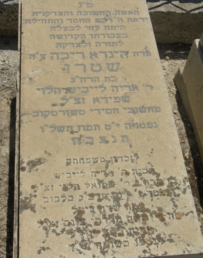 /הינדא-ריבה-שטרן/