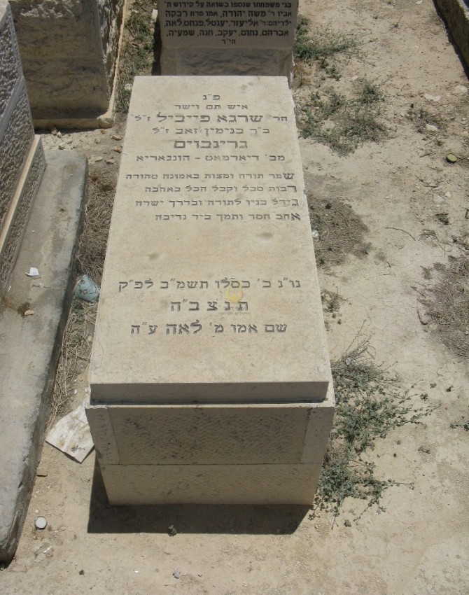 תמונת קבר שרגא פייבל גרינבוים