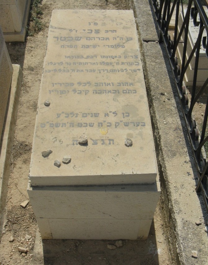 תמונת קבר צבי שכטר