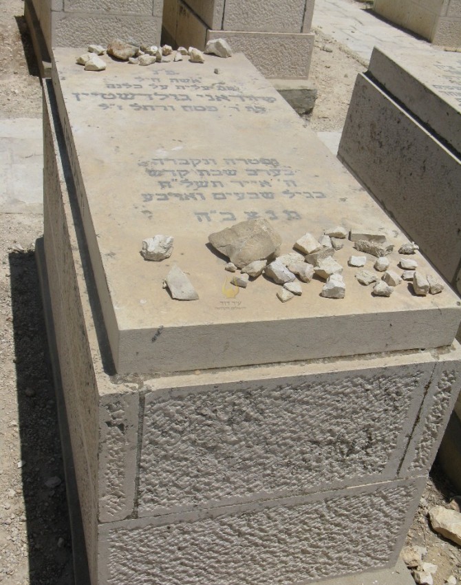 תמונת קבר ראני גולדשטיין