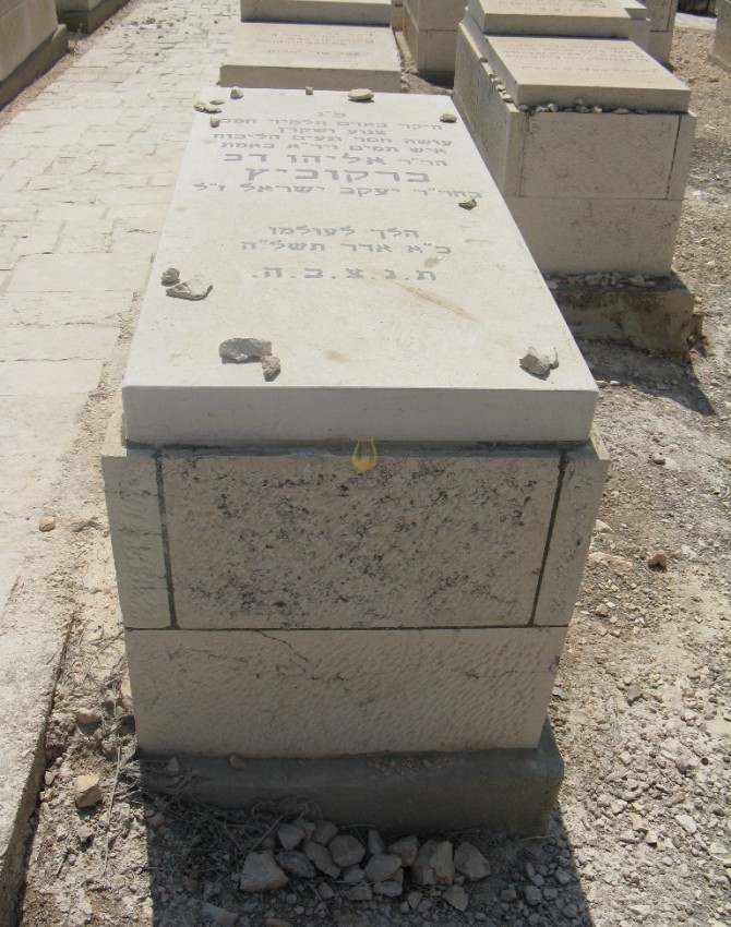 תמונת קבר אליהו דב ברקוביץ