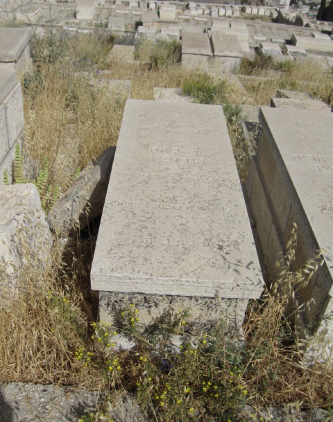 תמונת קבר לאה הורוביץ