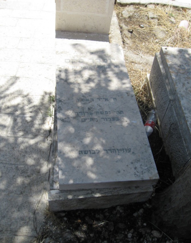 תמונת קבר יוכבד מקס