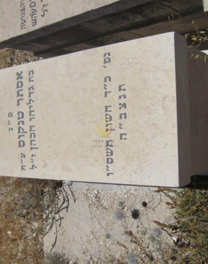 תמונת קבר אסתר טנקוס