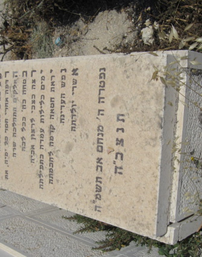 תמונת קבר שרה בריינא בירנבוים