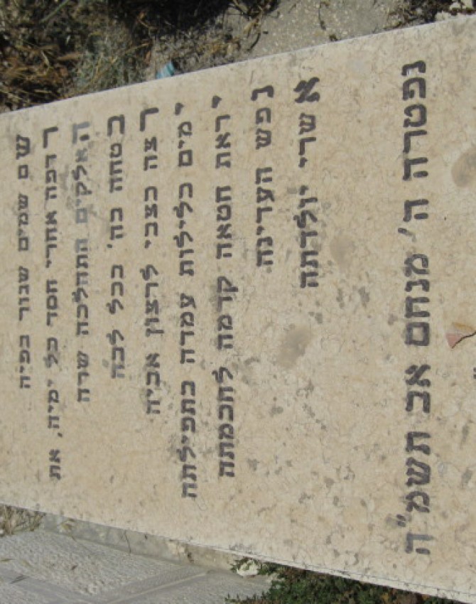 /שרה-בריינא-בירנבוים/