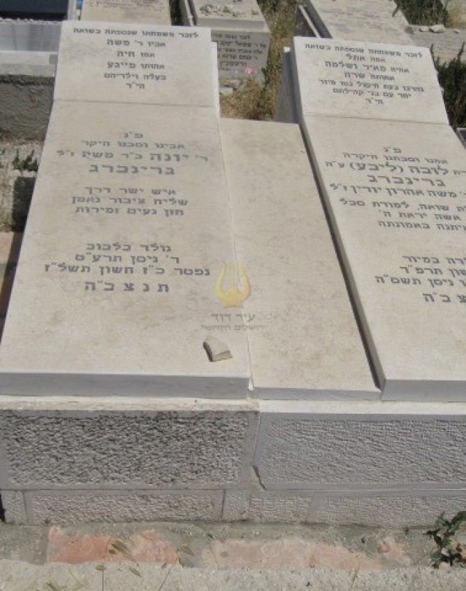 תמונת קבר יונה גרינברג