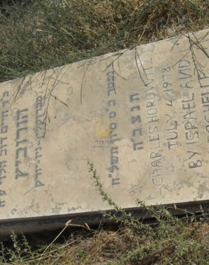 תמונת קבר אלחנן הורוביץ