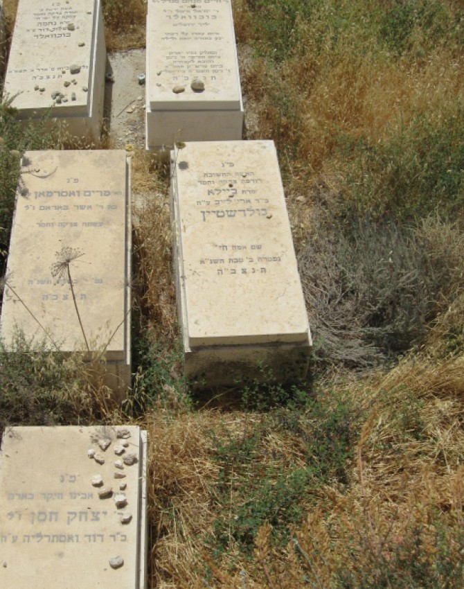 תמונת קבר ביילא גולדשטיין