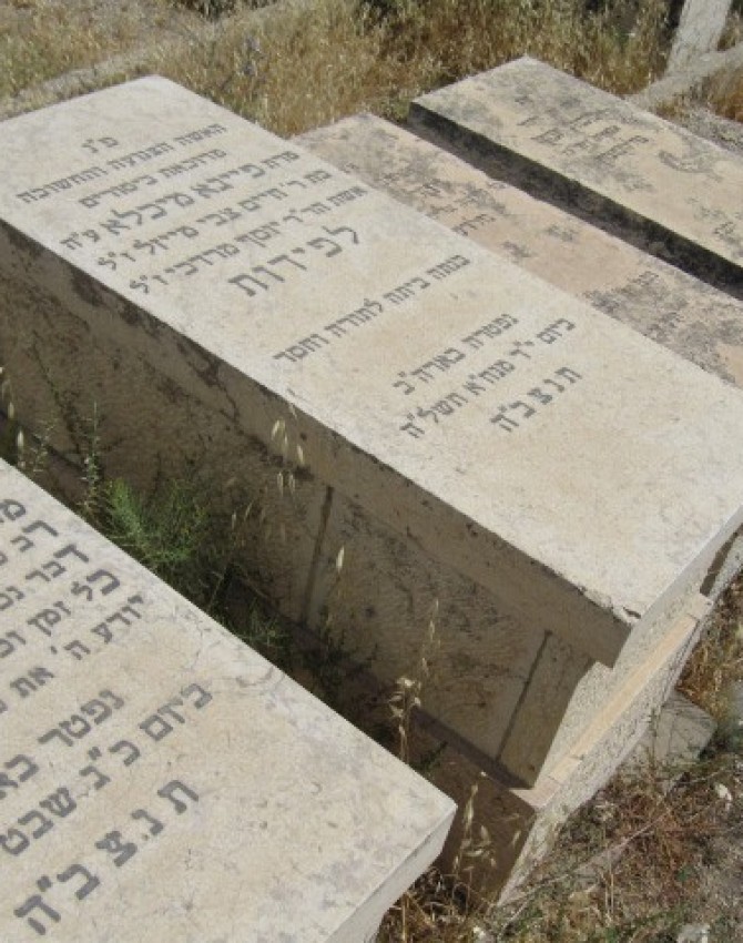 תמונת קבר פייגא מיכלא לפידות