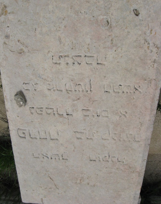 תמונת קבר פרחה