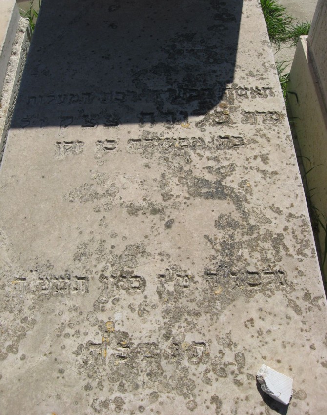תמונת קבר פלורה צ'צ'ק