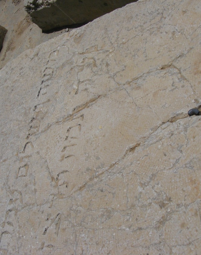 תמונת קבר משה עמרם
