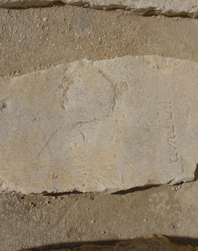 תמונת קבר משה חזן Moshe Hazan