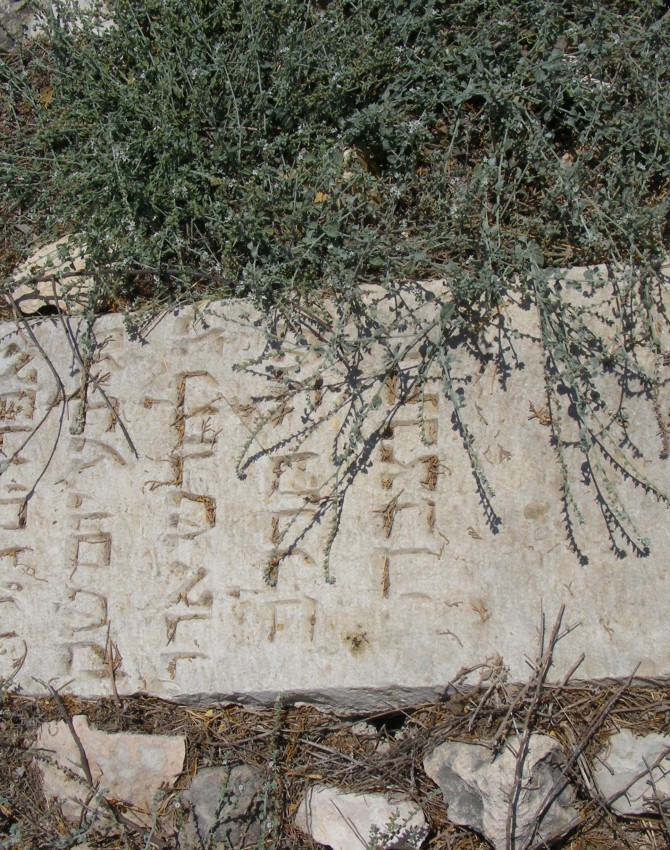 תמונת קבר אברהם הלוי Avraham Halevi