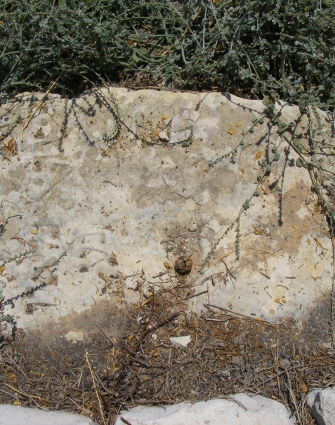 תמונת קבר ישראל מאיו Israel Mayu