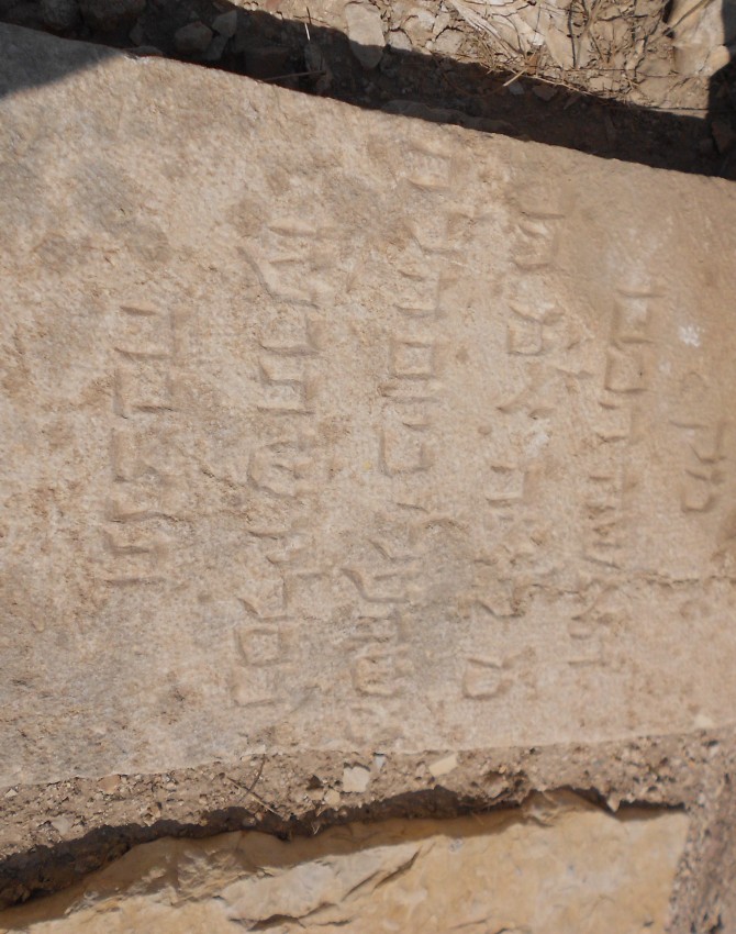 תמונת קבר לאה עלי Leah Ali