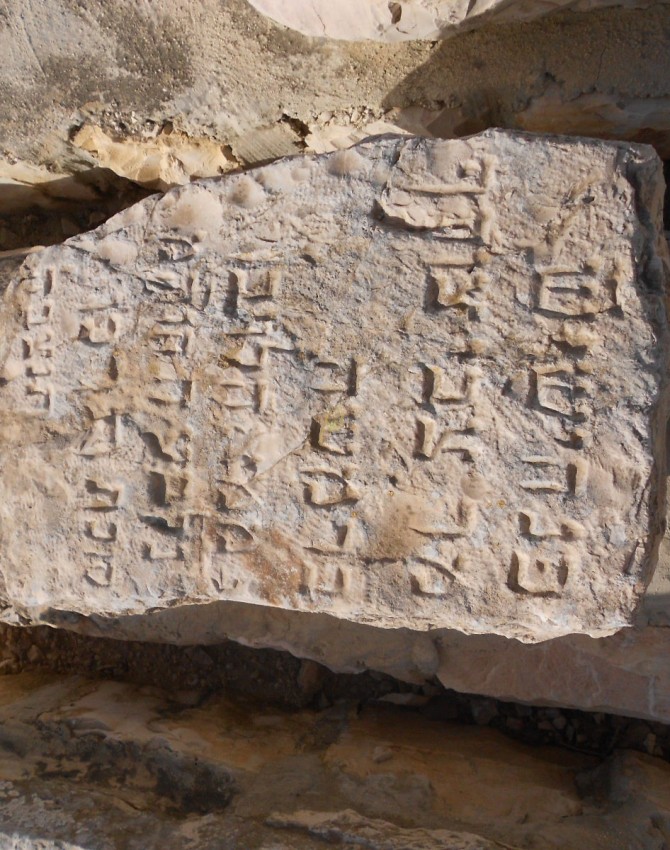 תמונת קבר צבי צורף Tzvi Zoreph