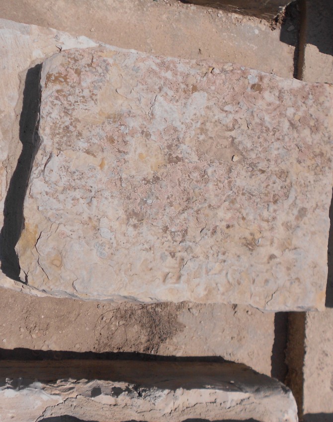 תמונת קבר בכור חנניה לא ידוע Bechor Hanania