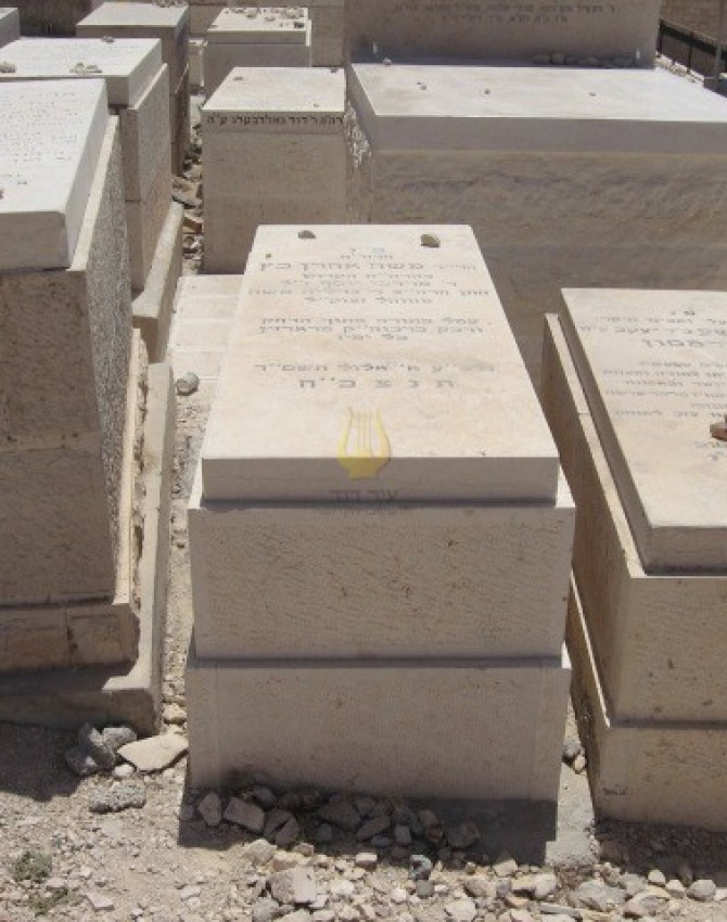 תמונת קבר משה אהרן כץ