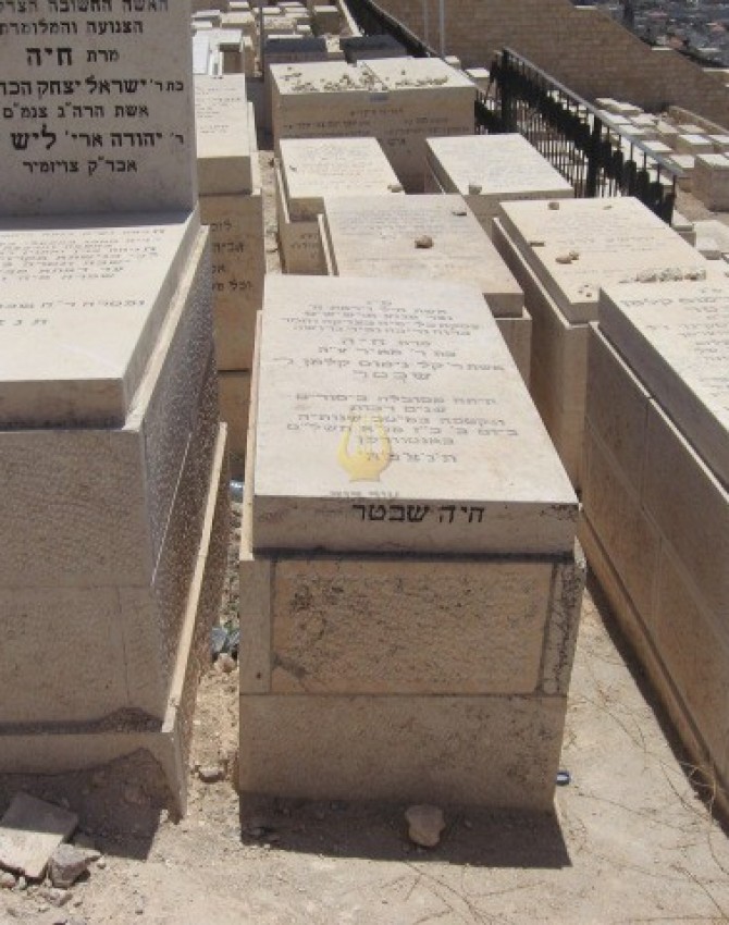 תמונת קבר חיה שכטר