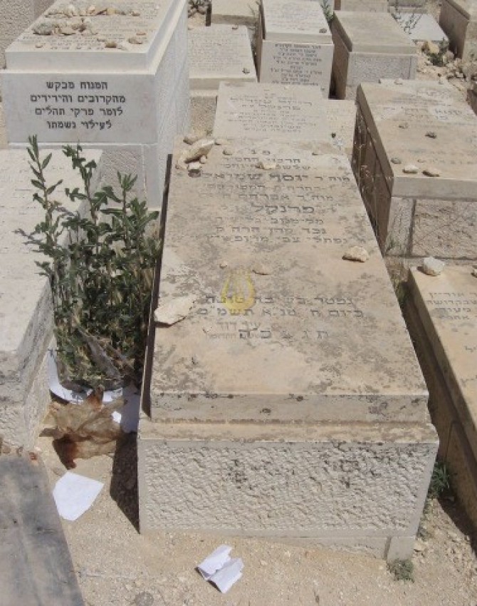 תמונת קבר יוסף שמואל פרנקל