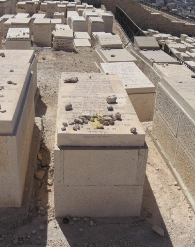 תמונת קבר רוזה רבקה שרייבר