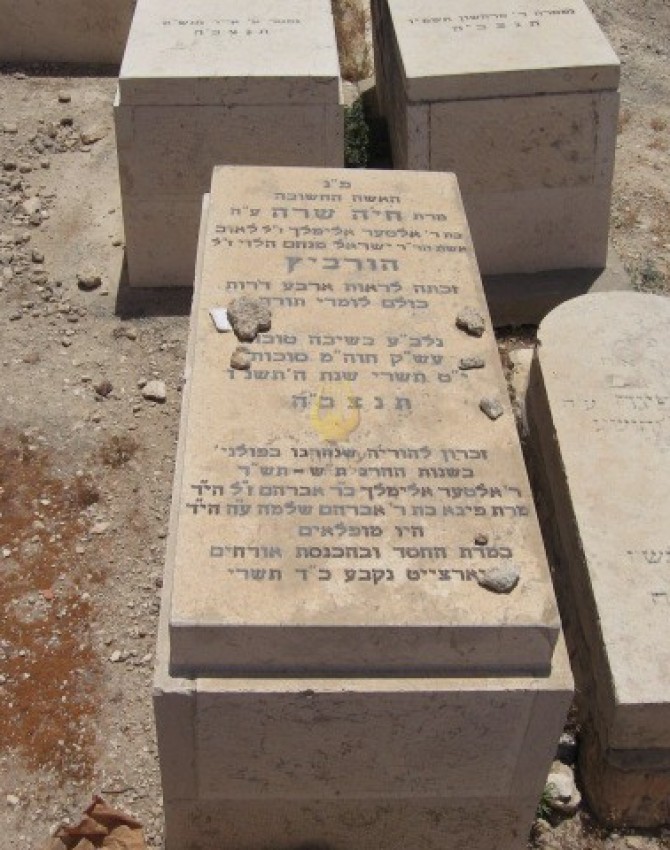 תמונת קבר חיה שרה הורביץ