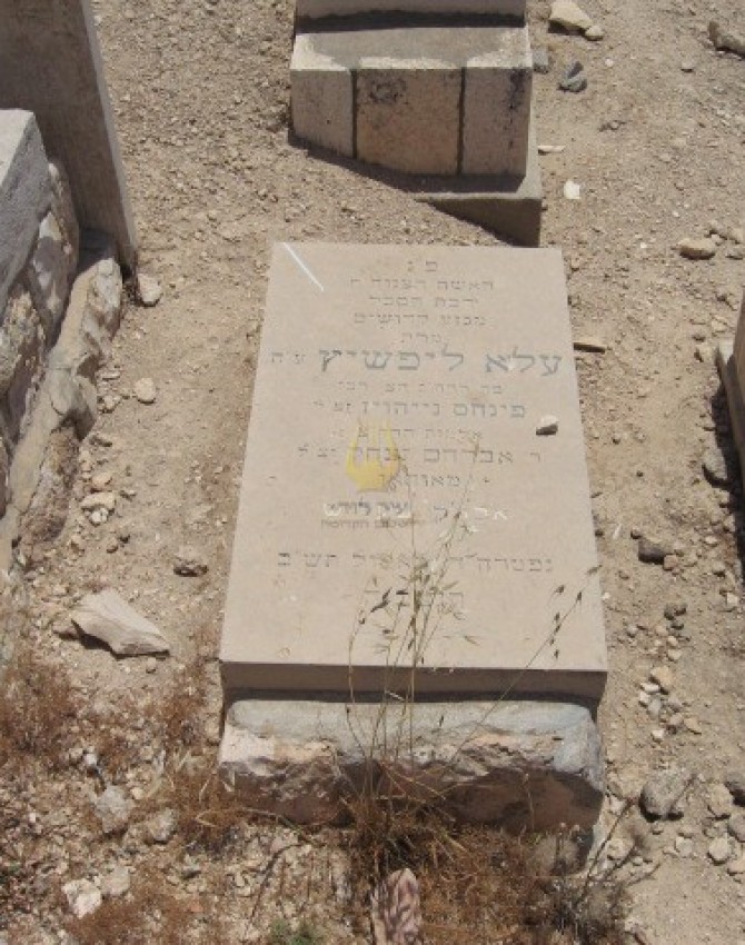תמונת קבר עליא ליפשיץ