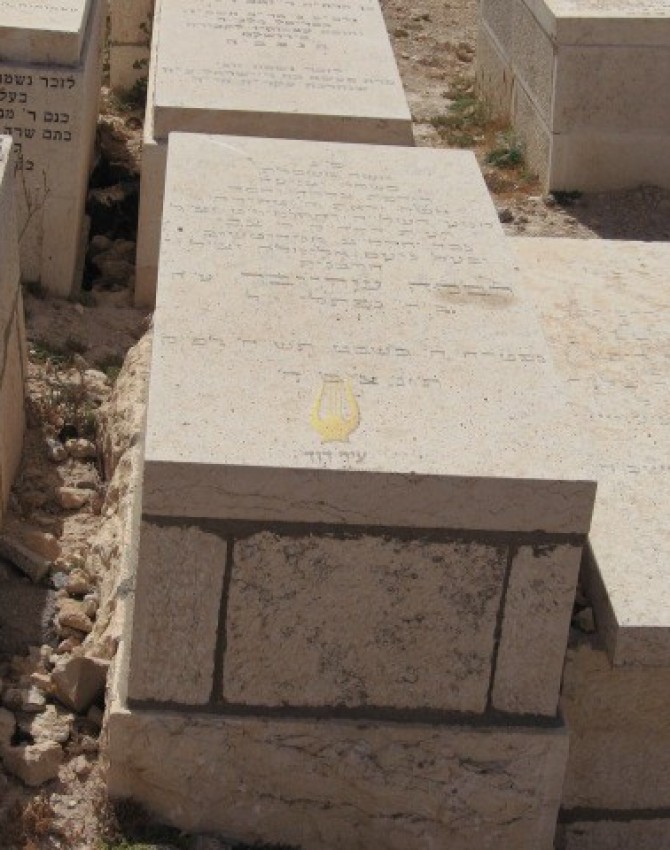 תמונת קבר רבקה שרייבר