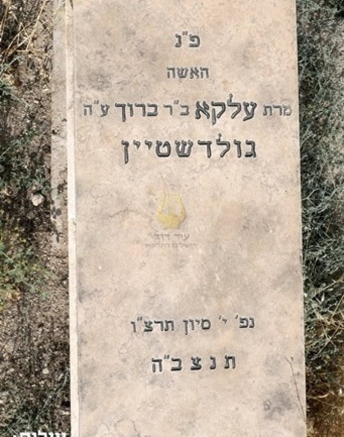 HAR HAZEITIM Elka Goldstein