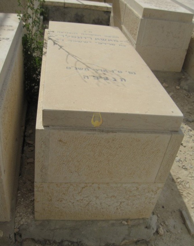 תמונת קבר מאשא רוזנפלד