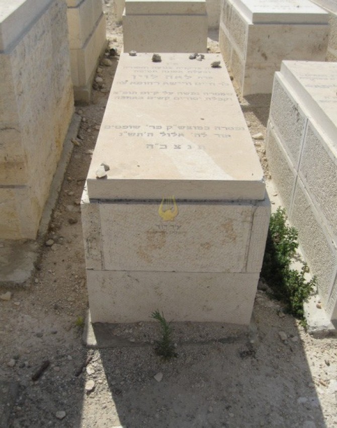 תמונת קבר לאה לוין