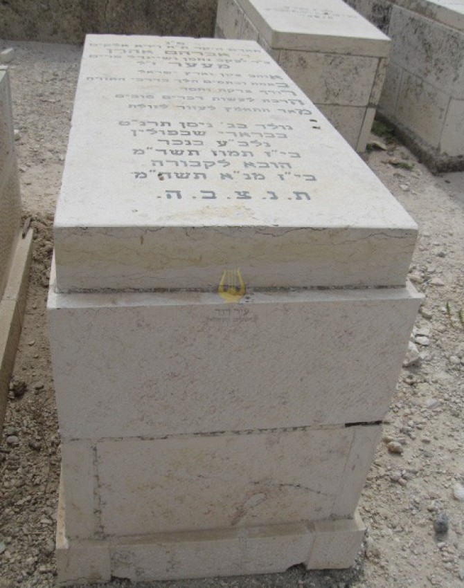 תמונת קבר אברהם אהרן מעער