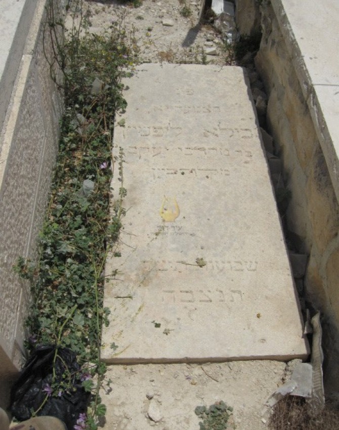 תמונת קבר יאבילא ליפשיץ