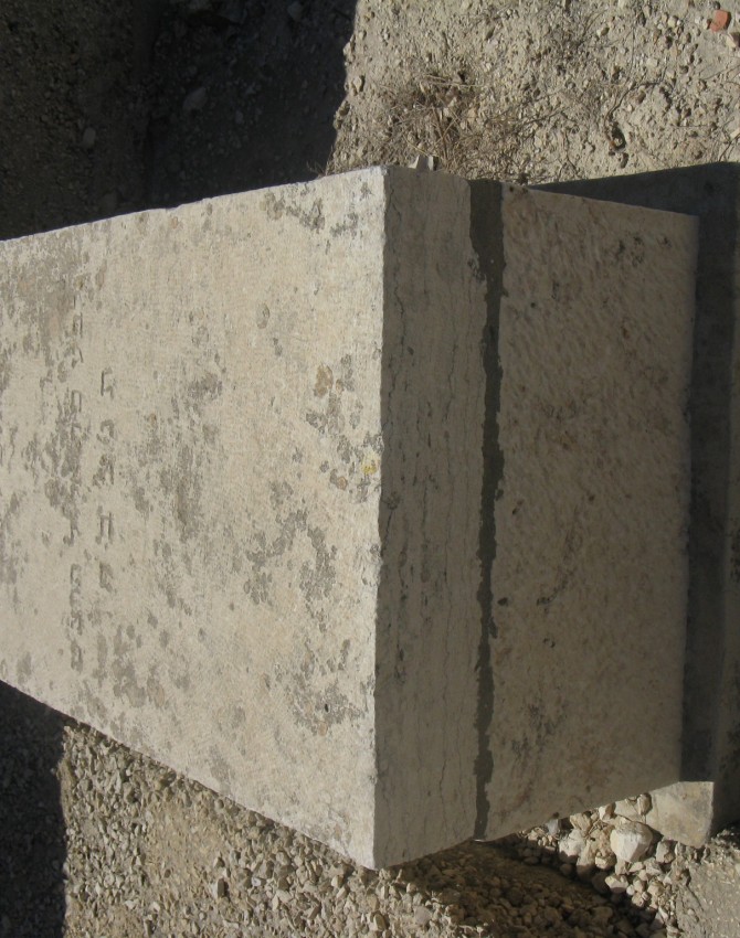 תמונת קבר שרה אסתר הורביץ