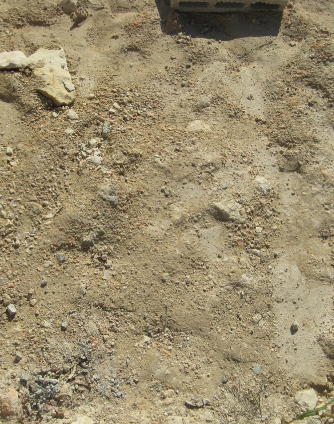 תמונת קבר יעקב סגל Yaakov Segal