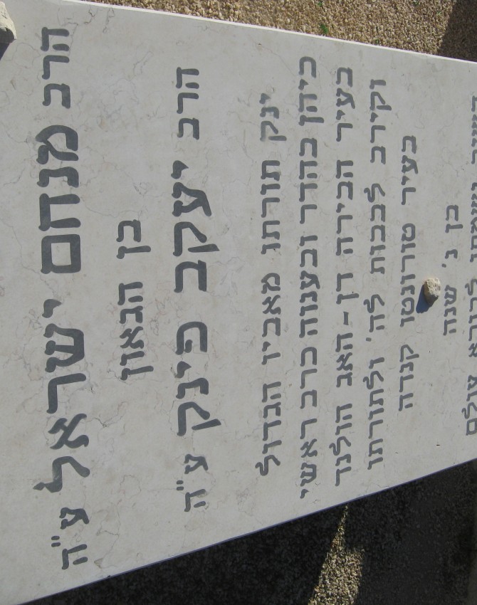 תמונת קבר מנחם ישראל פינק Menachem Israel Pink