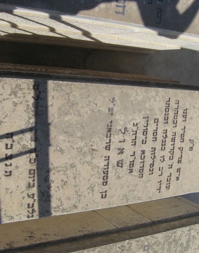 תמונת קבר שאול שרבאני