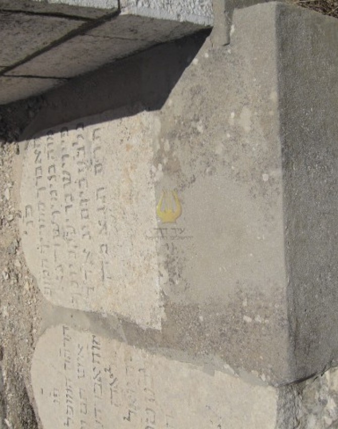 תמונת קבר בנימין שרגא פייביש Binyamin  Faibish