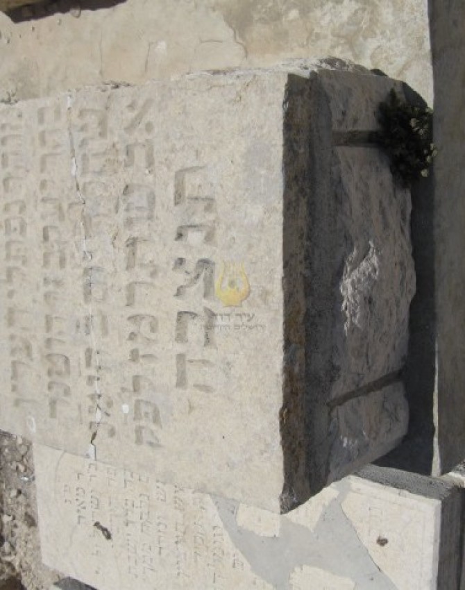 תמונת קבר נפתלי הערץ Naftali Hertz