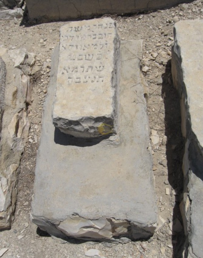 תמונת קבר משה דוב לא ידוע Moshe Dov